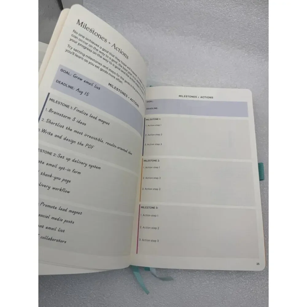 Surprisingly Successful Undated Weekly and Monthly Planner A5 NEW *read...